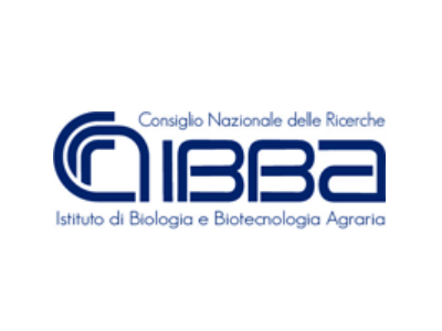 IBBA logo